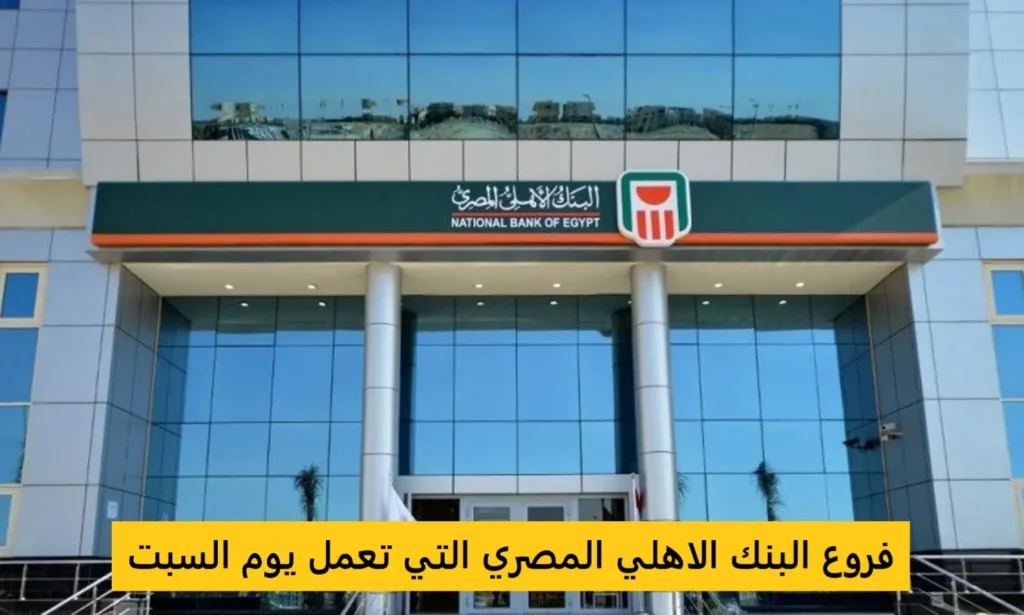دليل شامل لجميع عناوين فروع البنك الاهلي المصري 2025: مواعيد، خدمات وأرقام الاتصال فروع البنك الاهلى المصرى التى تعمل يوم السبت